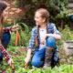 Organic Gardening, Tips for Companion Planting