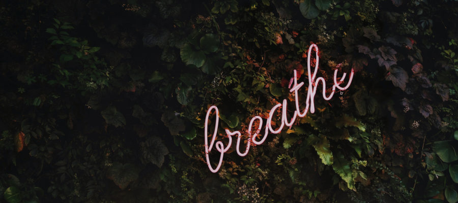 Mindfulness Breath